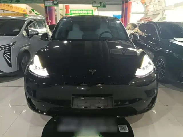 Tesla Model Y — Фото автомобиля 2