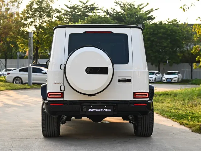 Mercedes-Benz G-Class — Фото автомобиля 5
