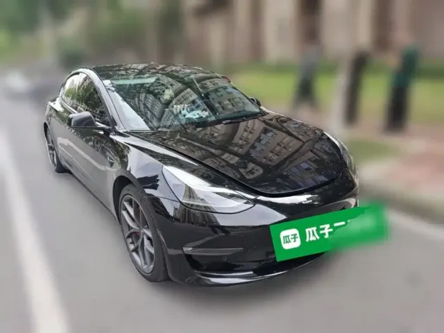 Tesla Model 3 2021 Second Facelift Performance High-Performance AWD Version — Фото автомобиля 23
