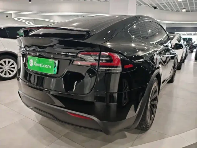 Tesla Model X — Фото автомобиля 6