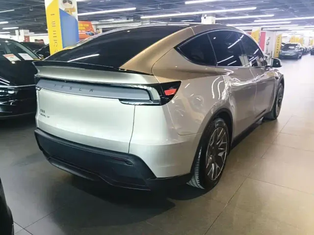 Tesla Model Y L — Фото автомобиля 6