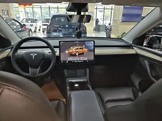 Tesla Model Y — Фото автомобиля 9