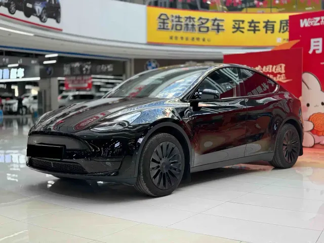 Tesla Model Y — Фото автомобиля 3