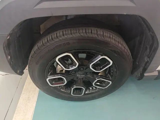 Haval Cool Dog — Фото автомобиля 22