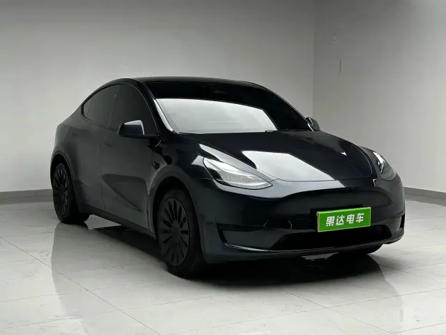 Tesla Model Y — Фото автомобиля 3