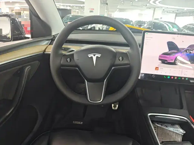 Tesla Model Y — Фото автомобиля 10