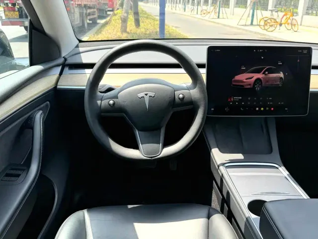 Tesla Model Y — Фото автомобиля 8