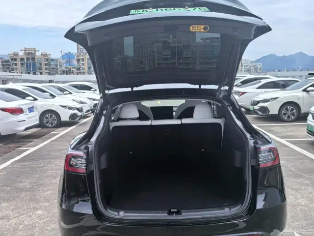Tesla Model Y — Фото автомобиля 9