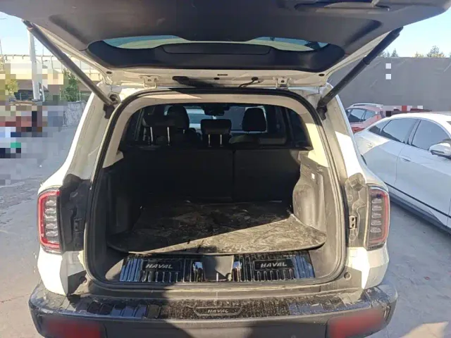 Haval Big Dog — Фото автомобиля 18