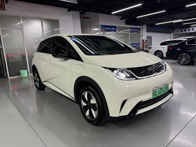BYD Dolphin — Фото автомобиля 3