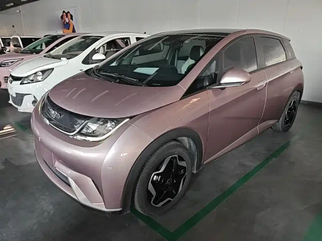 Фотография автомобиля — BYD Dolphin