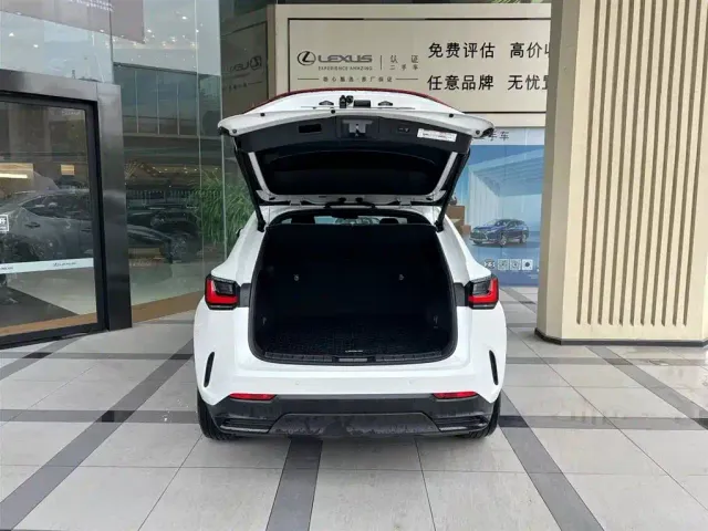 Lexus NX — Фото автомобиля 6