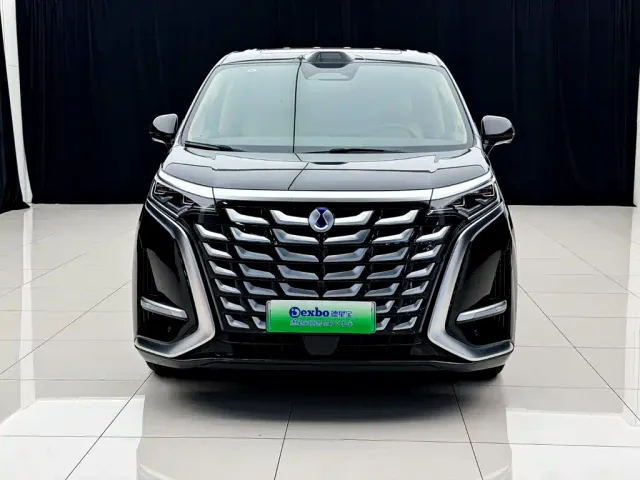Denza D9 — Фото автомобиля 2