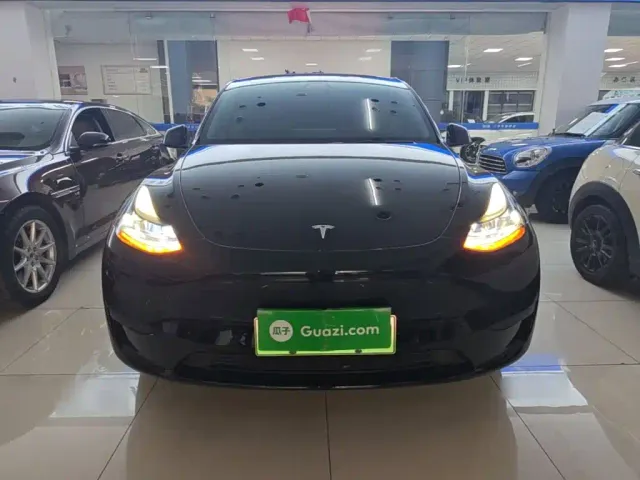 Tesla Model Y — Фото автомобиля 2