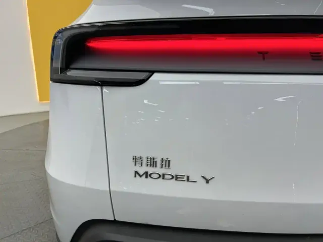 Tesla Model Y — Фото автомобиля 9