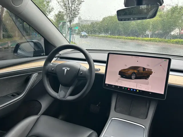 Tesla Model Y — Фото автомобиля 9