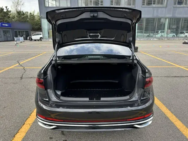 Volkswagen Sagitar — Фото автомобиля 7