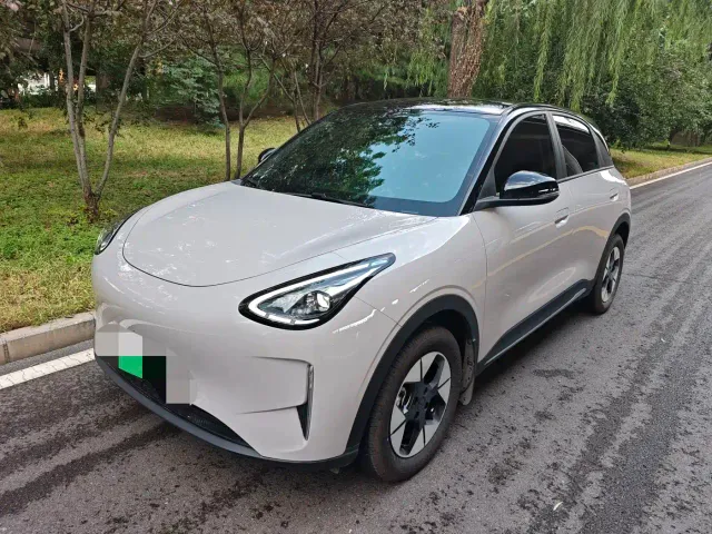 Фотография автомобиля — Geely Starry Wish