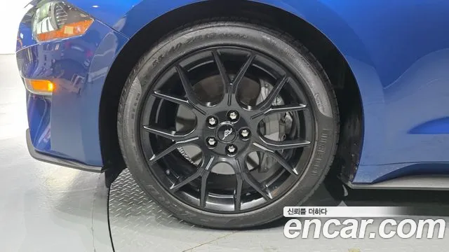 Ford Mustang — Фото автомобиля 5