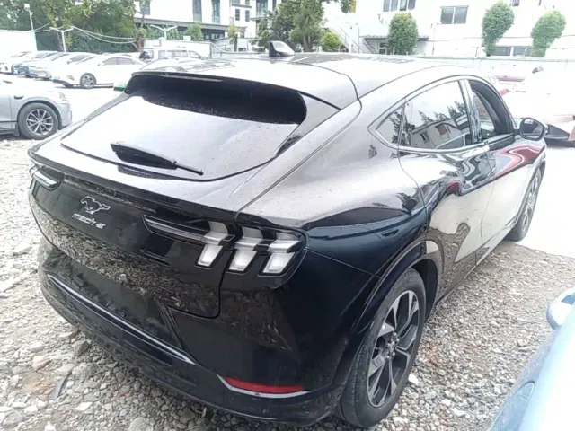 Ford Mustang Mach-E — Фото автомобиля 6