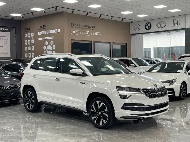 Skoda Karoq — Фото автомобиля 3