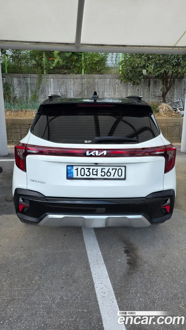 Kia Seltos Seltos (New) — Фото автомобиля 2