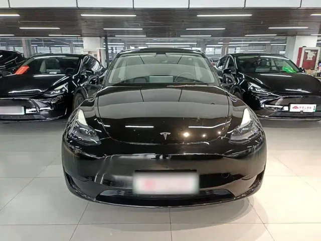 Tesla Model Y — Фото автомобиля 2