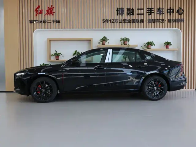 Hongqi Hongqi H5 2025 2.0T Automatic Mystic Shadow 2 Million Edition — Фото автомобиля 2