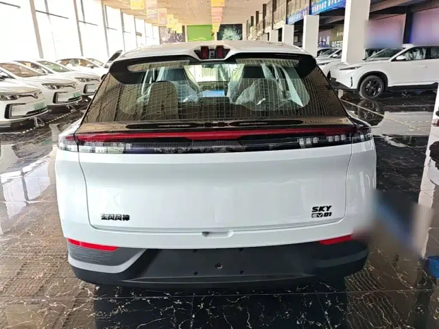 Dongfeng SKY EV01 — Фото автомобиля 3