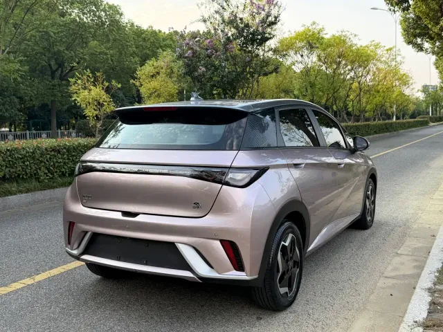 BYD Dolphin — Фото автомобиля 9