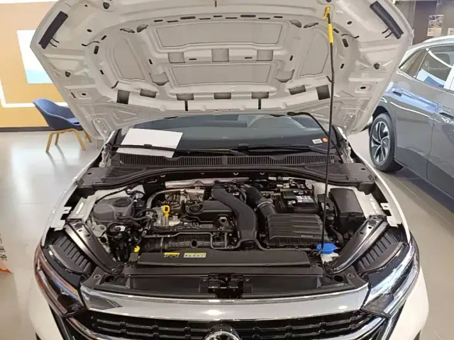 Volkswagen Sagitar — Фото автомобиля 19