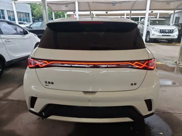 BYD Dolphin — Фото автомобиля 5