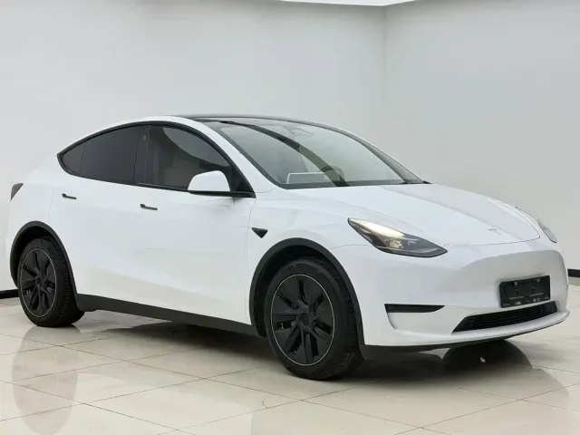 Tesla Model Y — Фото автомобиля 3