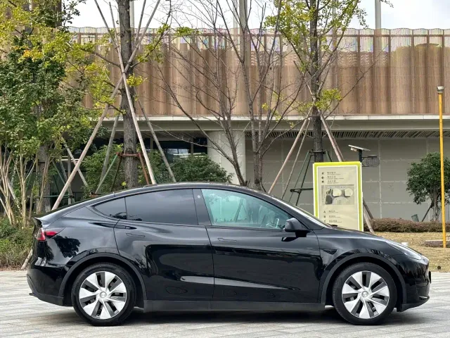 Tesla Model Y — Фото автомобиля 7