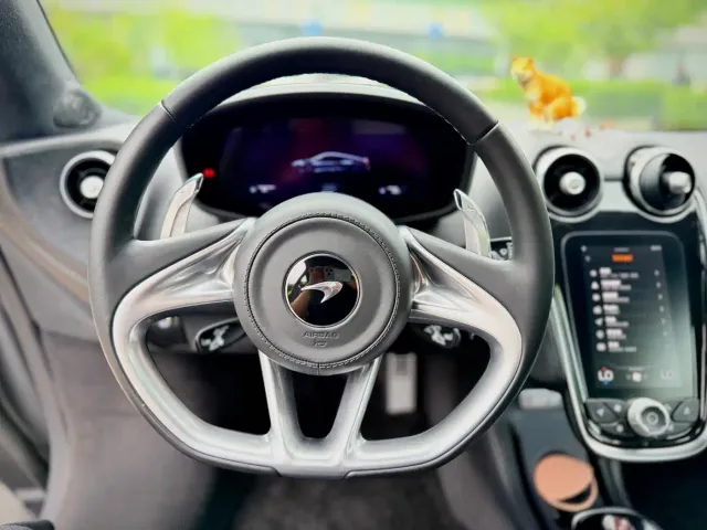 McLaren GT — Фото автомобиля 11