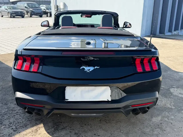 Ford Mustang — Фото автомобиля 13