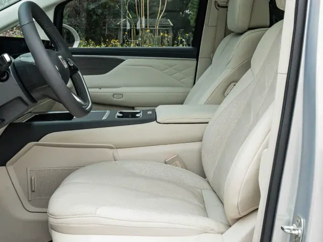 Buick Zhijing Shijia — Фото автомобиля 11