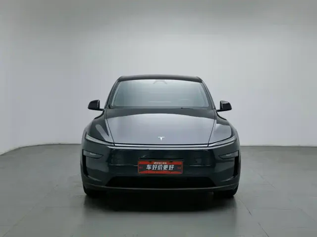 Tesla Model Y — Фото автомобиля 3