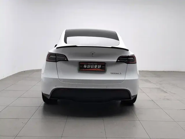Tesla Model Y — Фото автомобиля 4