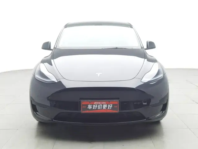 Tesla Model Y — Фото автомобиля 3