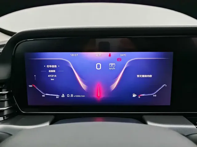 Hongqi Hongqi HS5 2023 2.0T 4WD Flag Leader Pro — Фото автомобиля 14