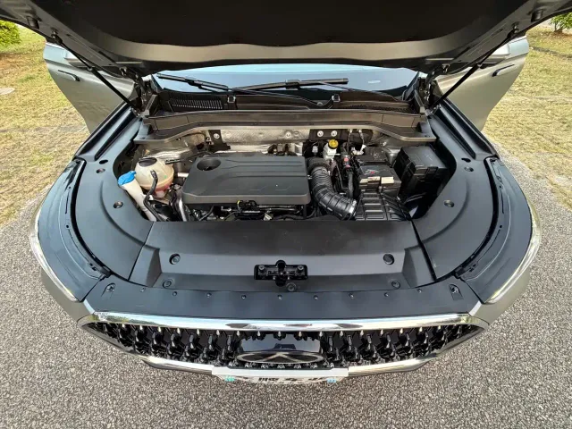 Chery Tiggo 8L — Фото автомобиля 30