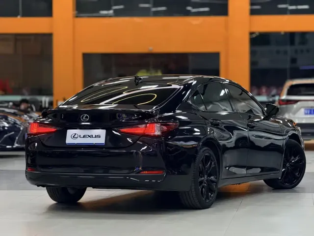 Lexus Lexus ES 2022 300h F SPORT — Фото автомобиля 9