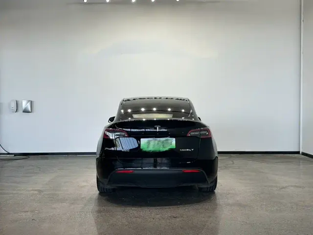 Tesla Model Y — Фото автомобиля 9