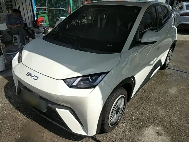 Фотография автомобиля — BYD Seagull