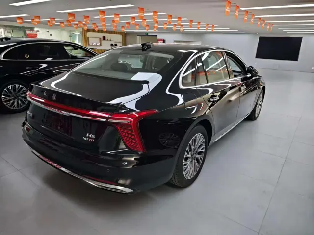 Hongqi H5 — Фото автомобиля 12