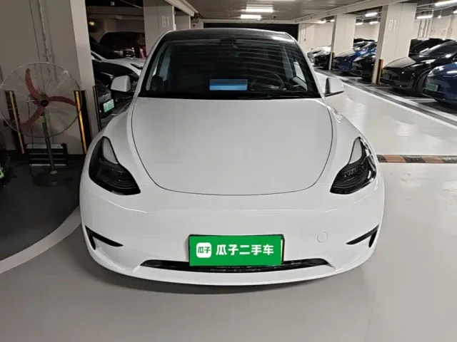 Tesla Model Y — Фото автомобиля 2