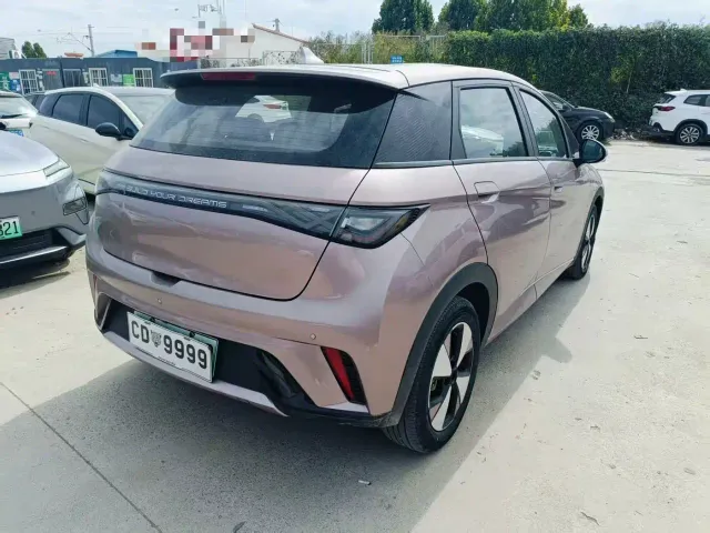 BYD Dolphin — Фото автомобиля 9