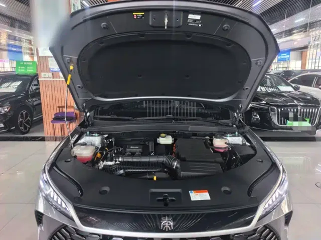 BYD Qin PLUS — Фото автомобиля 16