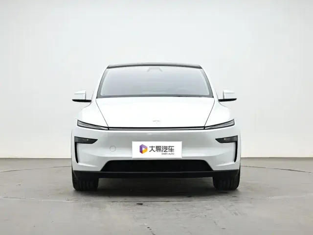 Tesla Model Y — Фото автомобиля 2